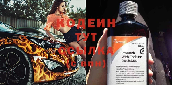 бошки Елабуга